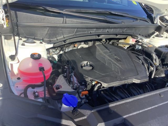 Certified 2025 Hyundai Santa Cruz SEL image 14