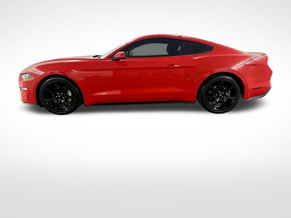 Used 2019 Ford Mustang Coupe w/ Black Accent Package image 5
