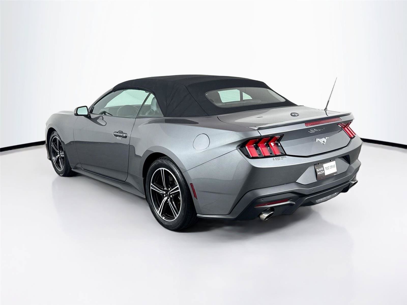 Used 2025 Ford Mustang Premium RWD image 12