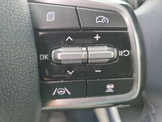 Certified 2025 Kia Carnival SX Prestige FWD image 33