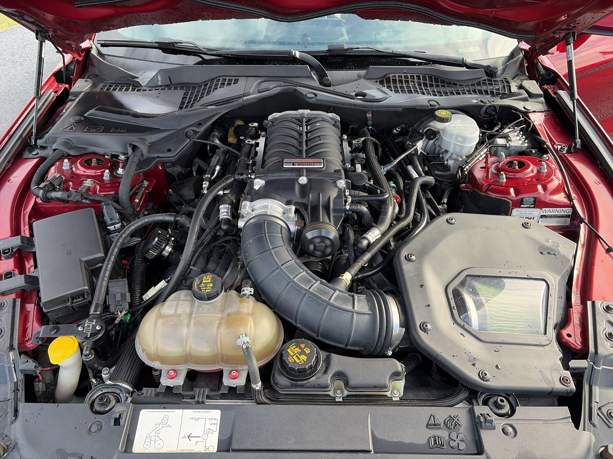 Used 2019 Ford Mustang GT Premium RWD image 10