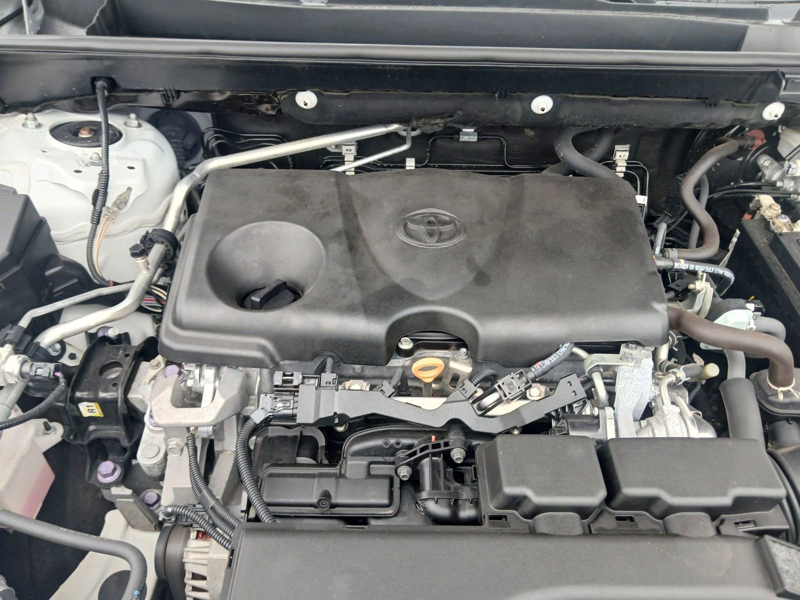 Used 2020 Toyota RAV4 LE image 19