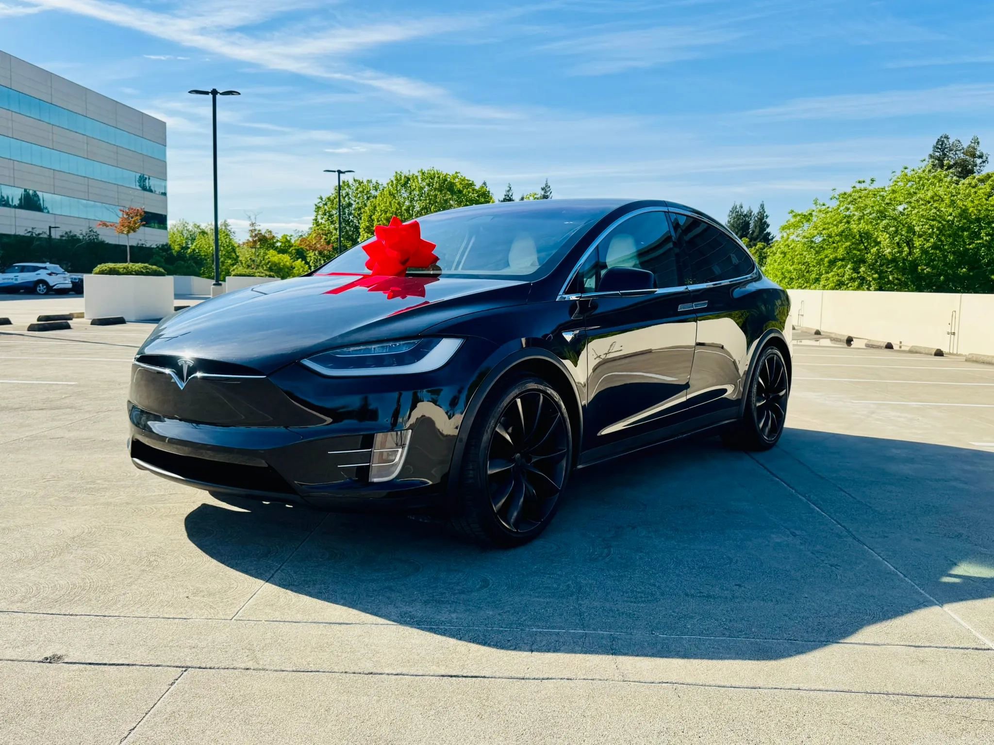 Used 2019 Tesla Model X 100D image 30