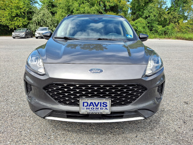 Used 2020 Ford Escape SE Sport AWD/4WD image 2