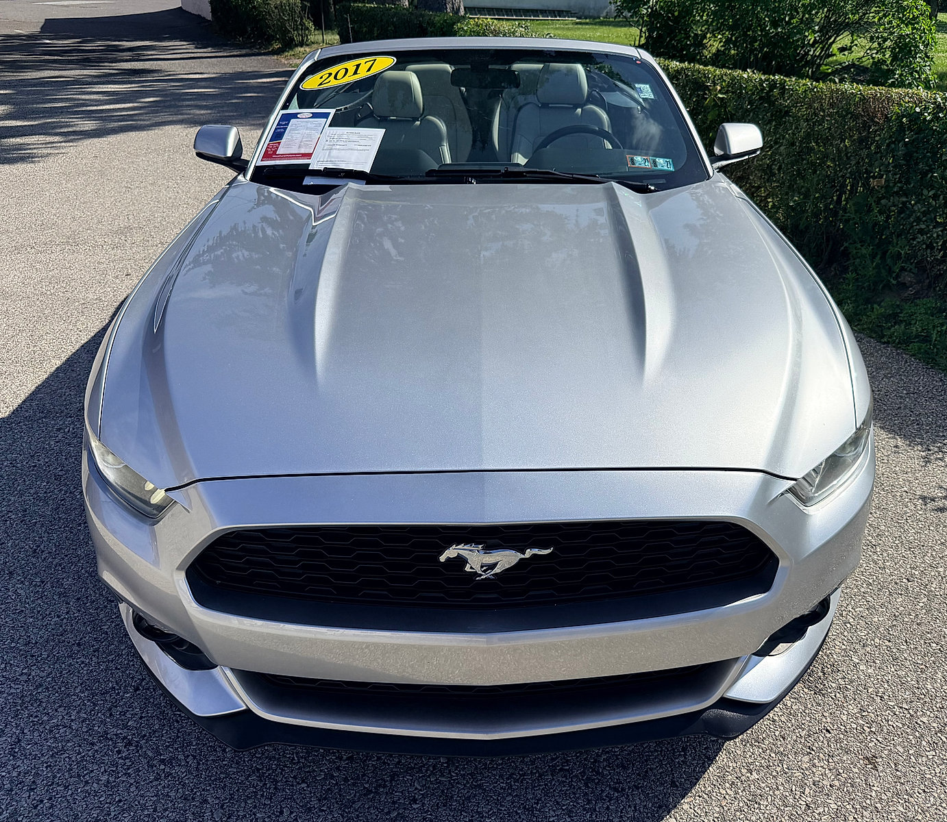 Used 2017 Ford Mustang Premium RWD image 8