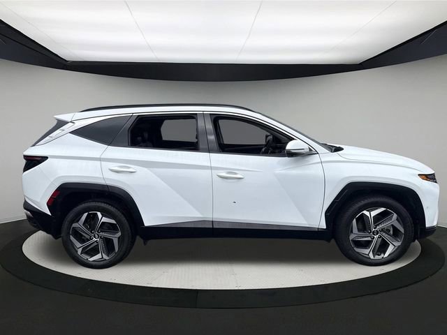 Certified 2022 Hyundai Tucson Limited image 5