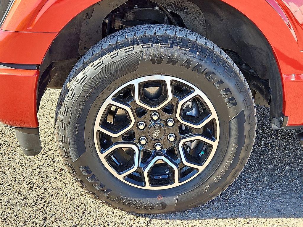 Used 2023 Ford F150 XLT w/ Equipment Group 301A Mid image 5