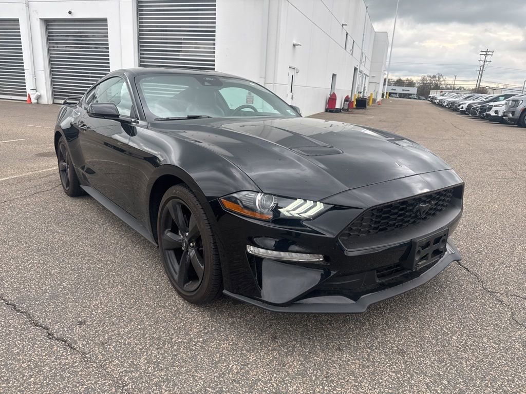 Used 2023 Ford Mustang Premium w/ Equipment Group 201A RWD image 2