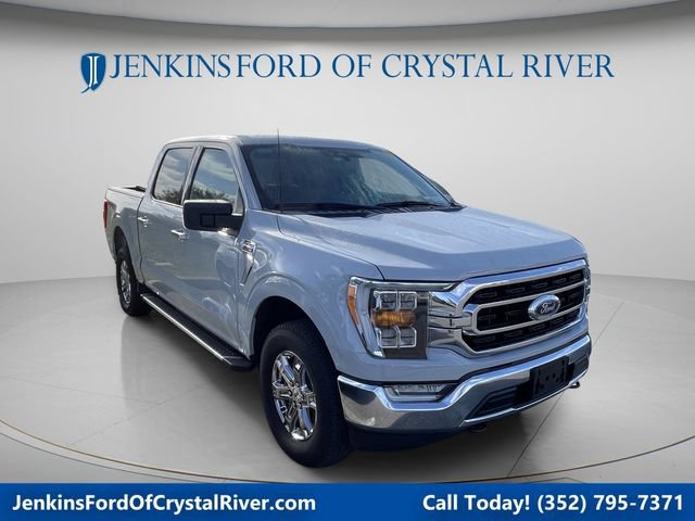 Used 2023 Ford F150 XLT w/ Equipment Group 302A High AWD/4WD image 1
