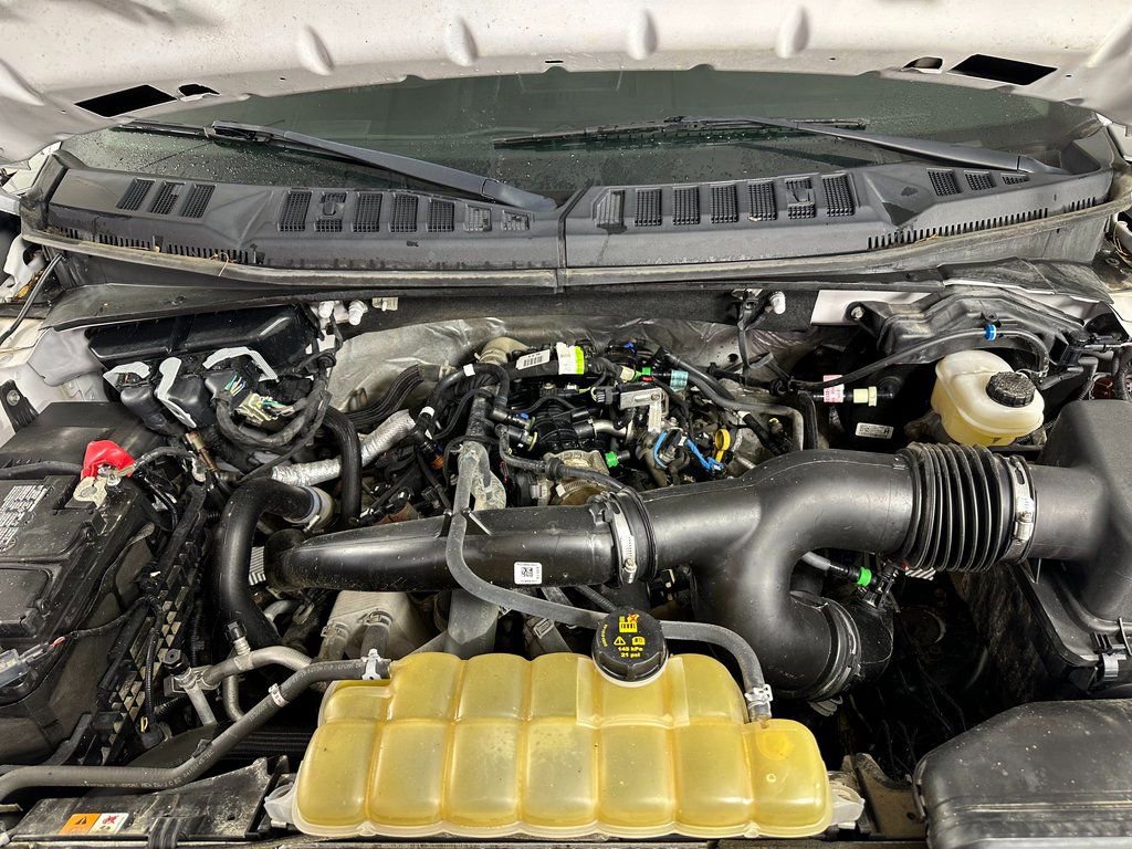 Used 2019 Ford F150 XL w/ Equipment Group 101A Mid AWD/4WD image 10