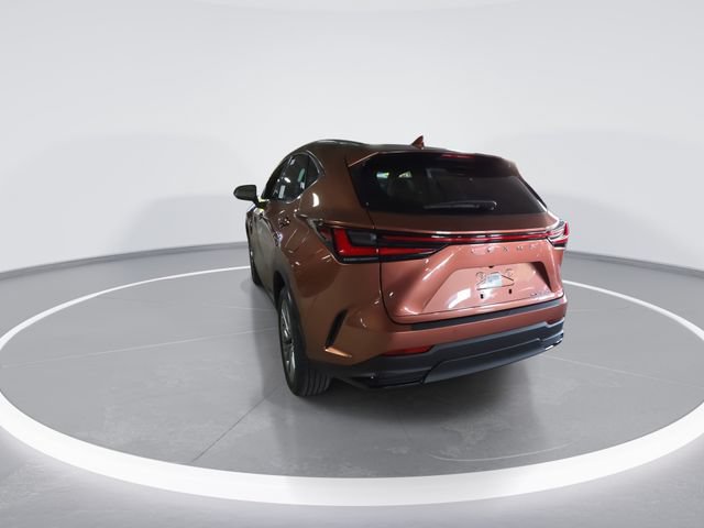 New 2026 Lexus NX 350 AWD w/ Luxury Package image 6