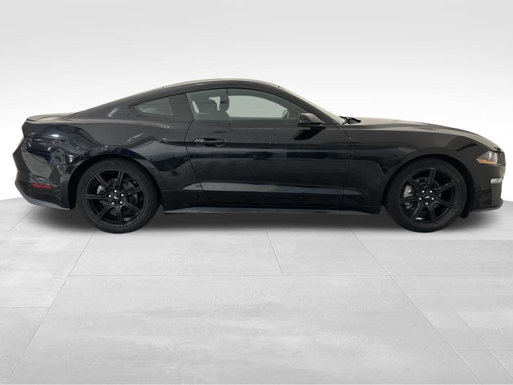 Used 2019 Ford Mustang EcoBoost w/ Equipment Group 101A image 7