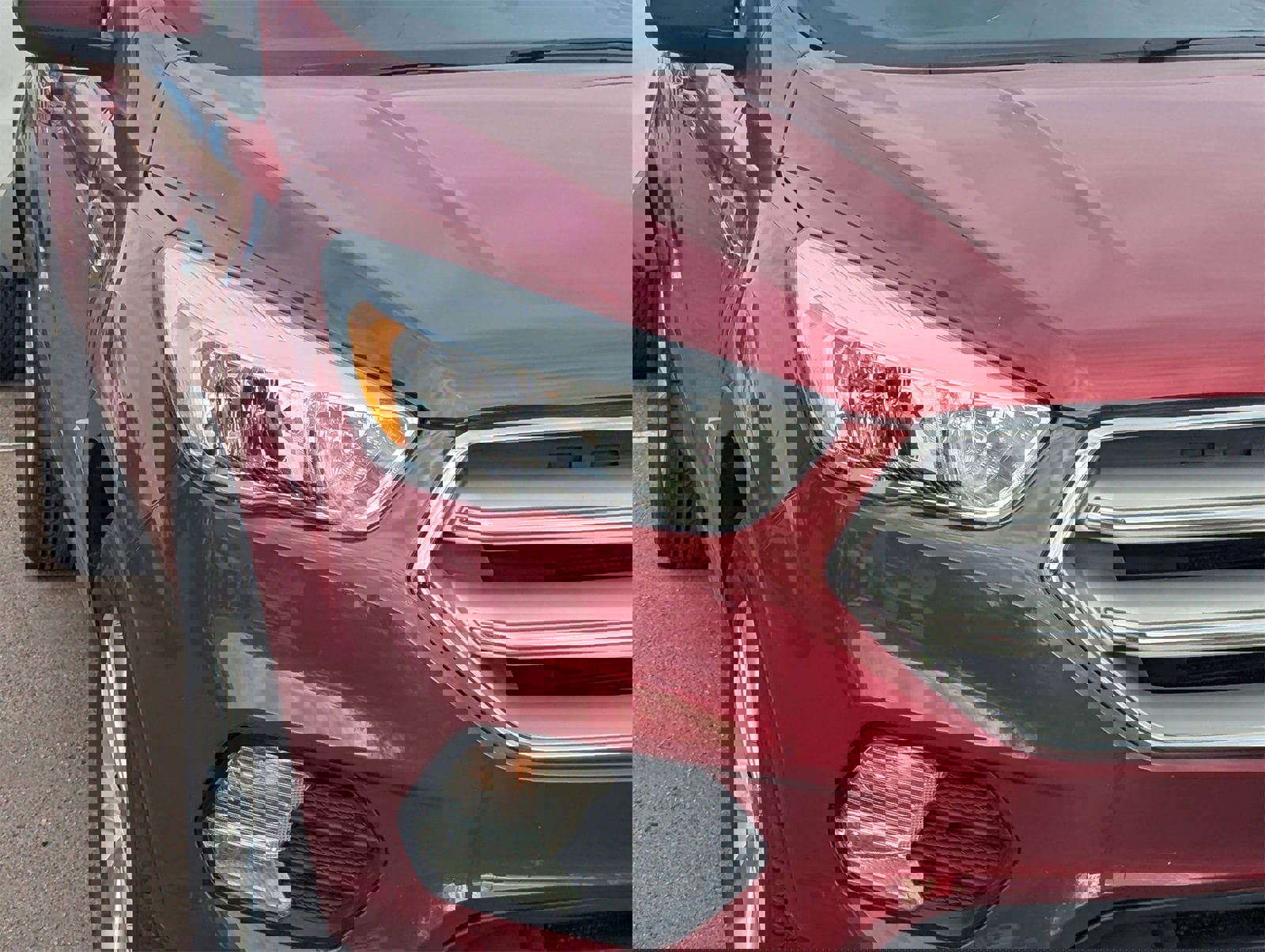 Used 2019 Ford Escape SE image 4