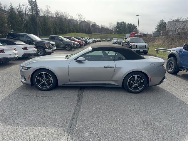 Used 2024 Ford Mustang Premium image 8