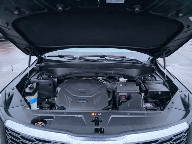 Used 2020 Kia Telluride SX image 14