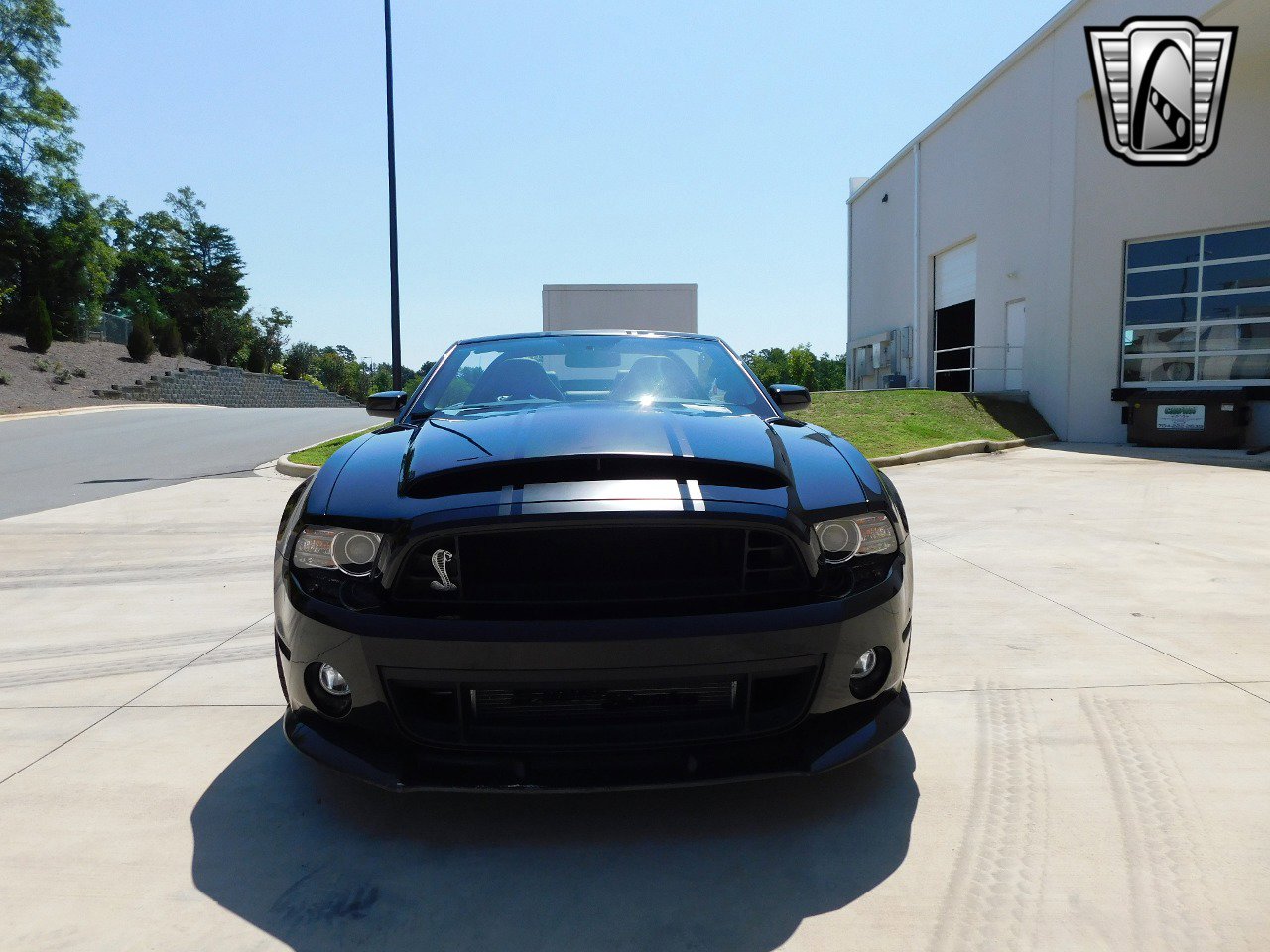 Used 2014 Ford Mustang Shelby GT500 w/ Equipment Group 821A image 3