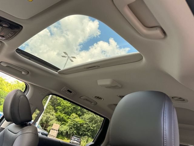 New 2026 Kia Carnival SX FWD image 13