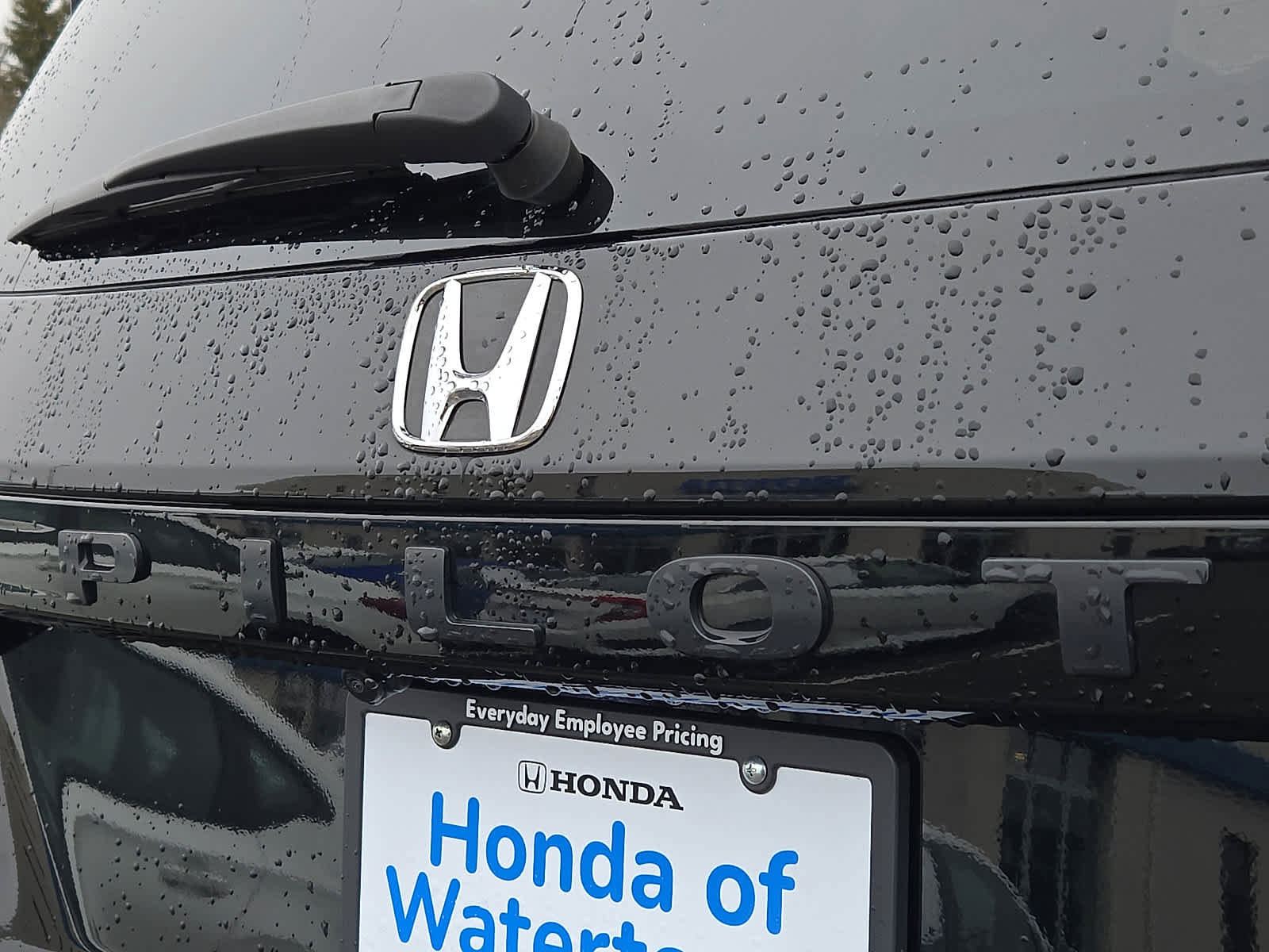 Certified 2025 Honda Pilot TrailSport image 29