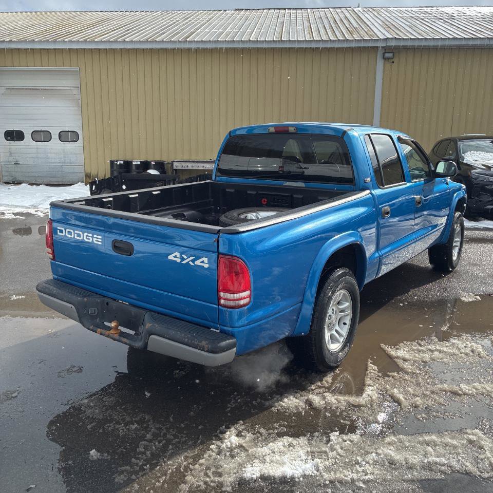 Used 2001 Dodge Dakota Sport image 11