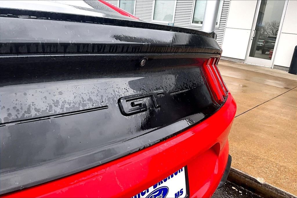 Used 2019 Ford Mustang GT w/ Equipment Group 301A image 7