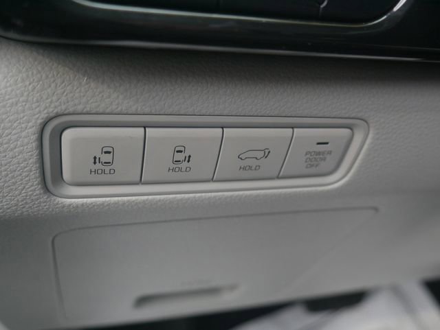 Used 2024 Kia Carnival SX Prestige image 24