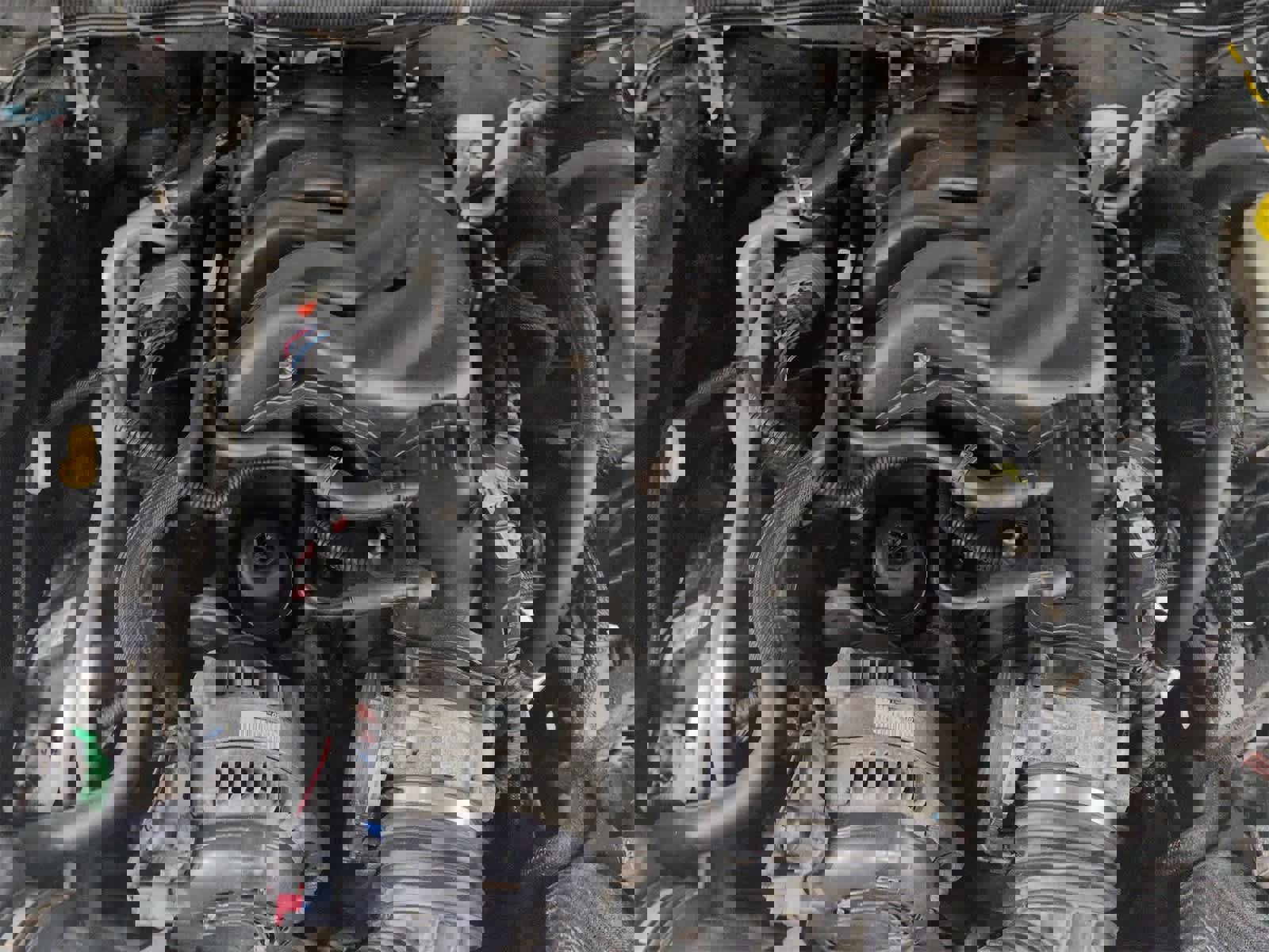 Used 2012 Jeep Wrangler Sahara w/ Dual Top Group image 15