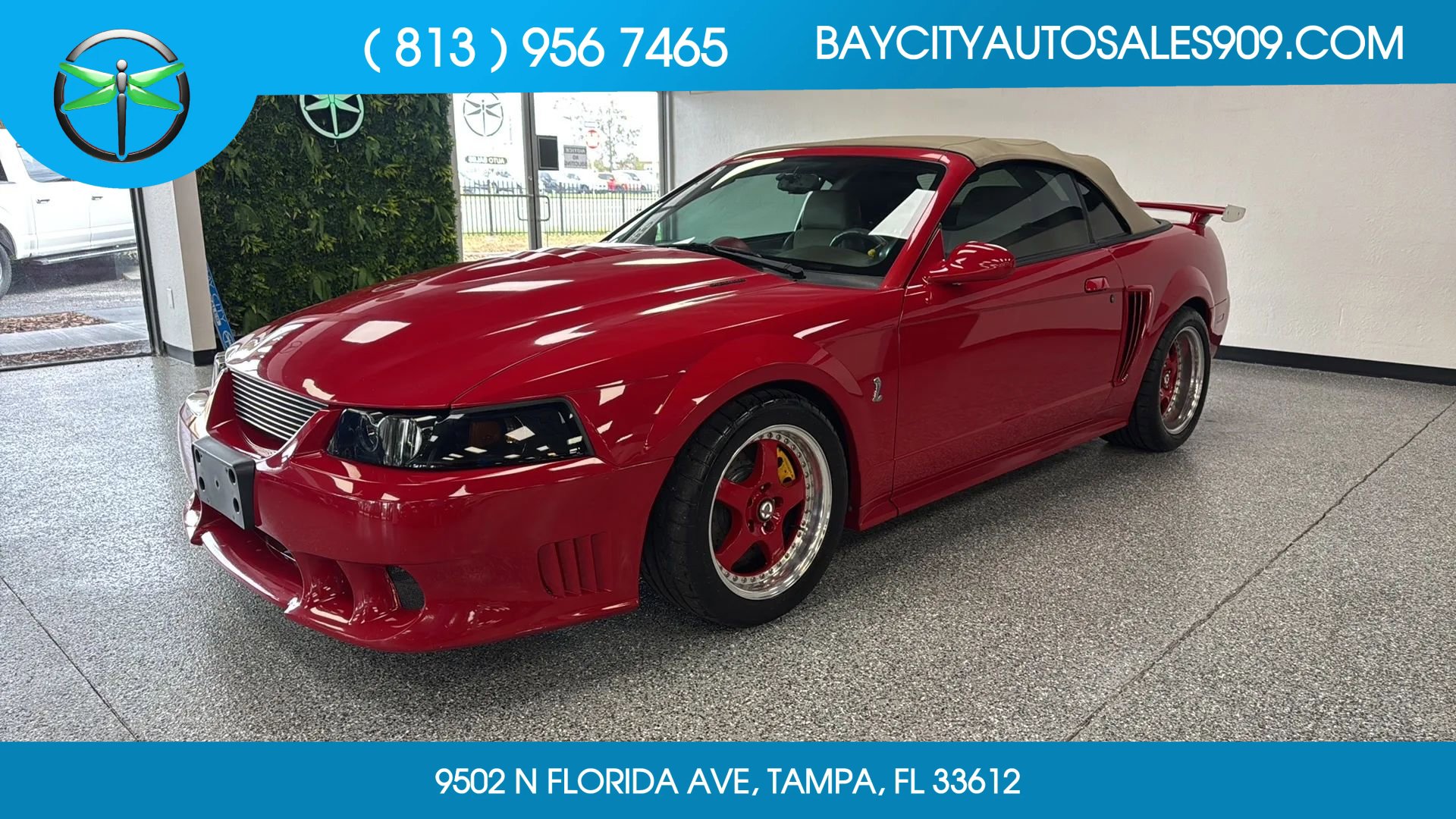 Used 1999 Ford Mustang Cobra RWD image 1