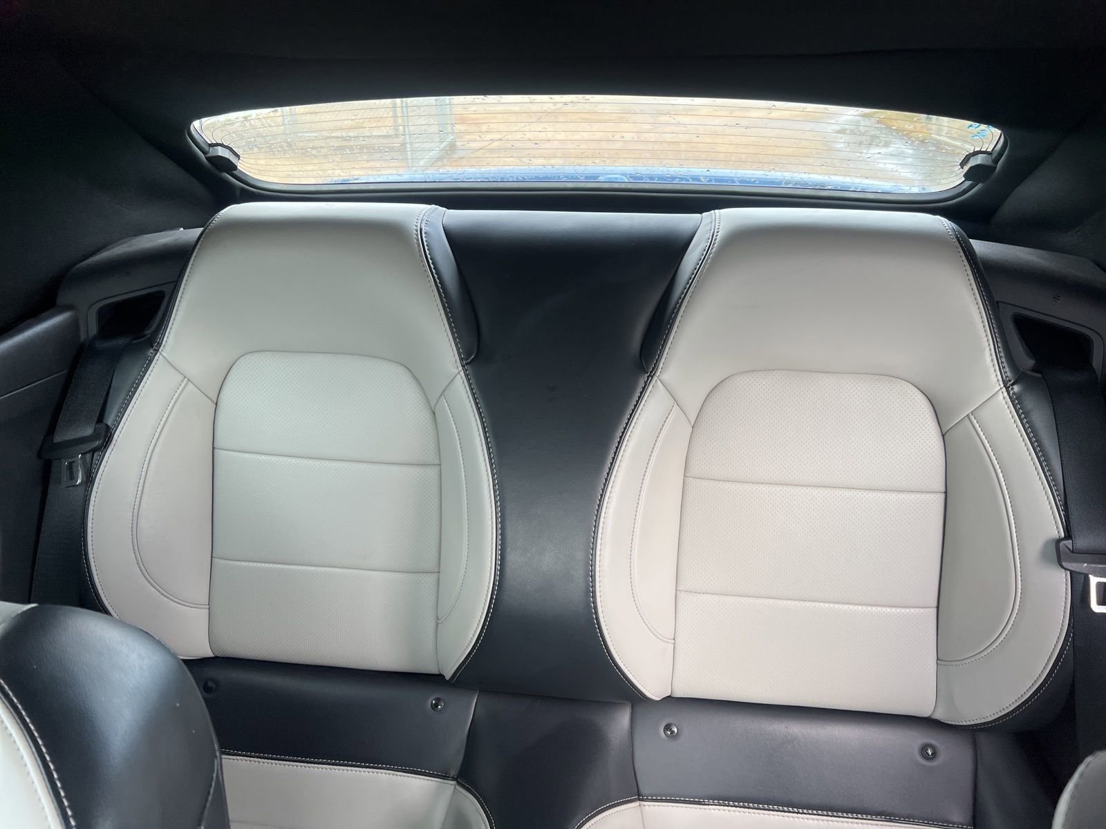 Used 2024 Ford Mustang Premium image 13