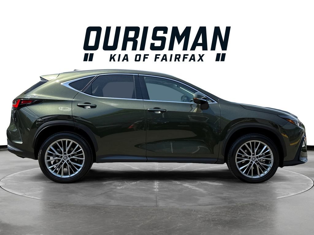Used 2025 Lexus NX 350h AWD w/ Accessory Package (2T) image 7