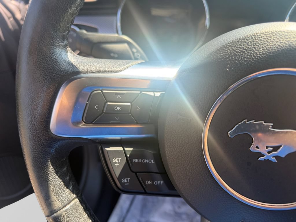 Used 2017 Ford Mustang GT RWD image 14