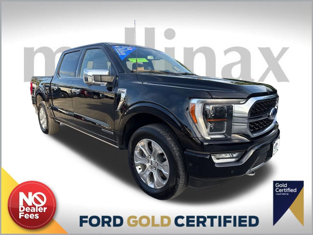 Used 2023 Ford F150 Platinum