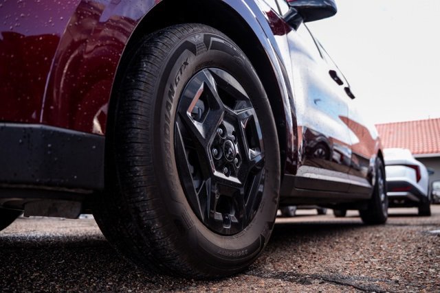 Used 2025 Kia Carnival LXS image 9