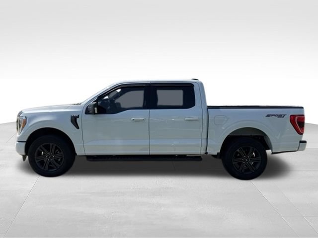 Used 2023 Ford F150 XLT w/ Equipment Group 302A High AWD/4WD image 4