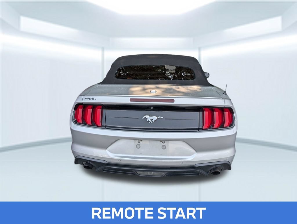Used 2019 Ford Mustang Premium RWD image 4