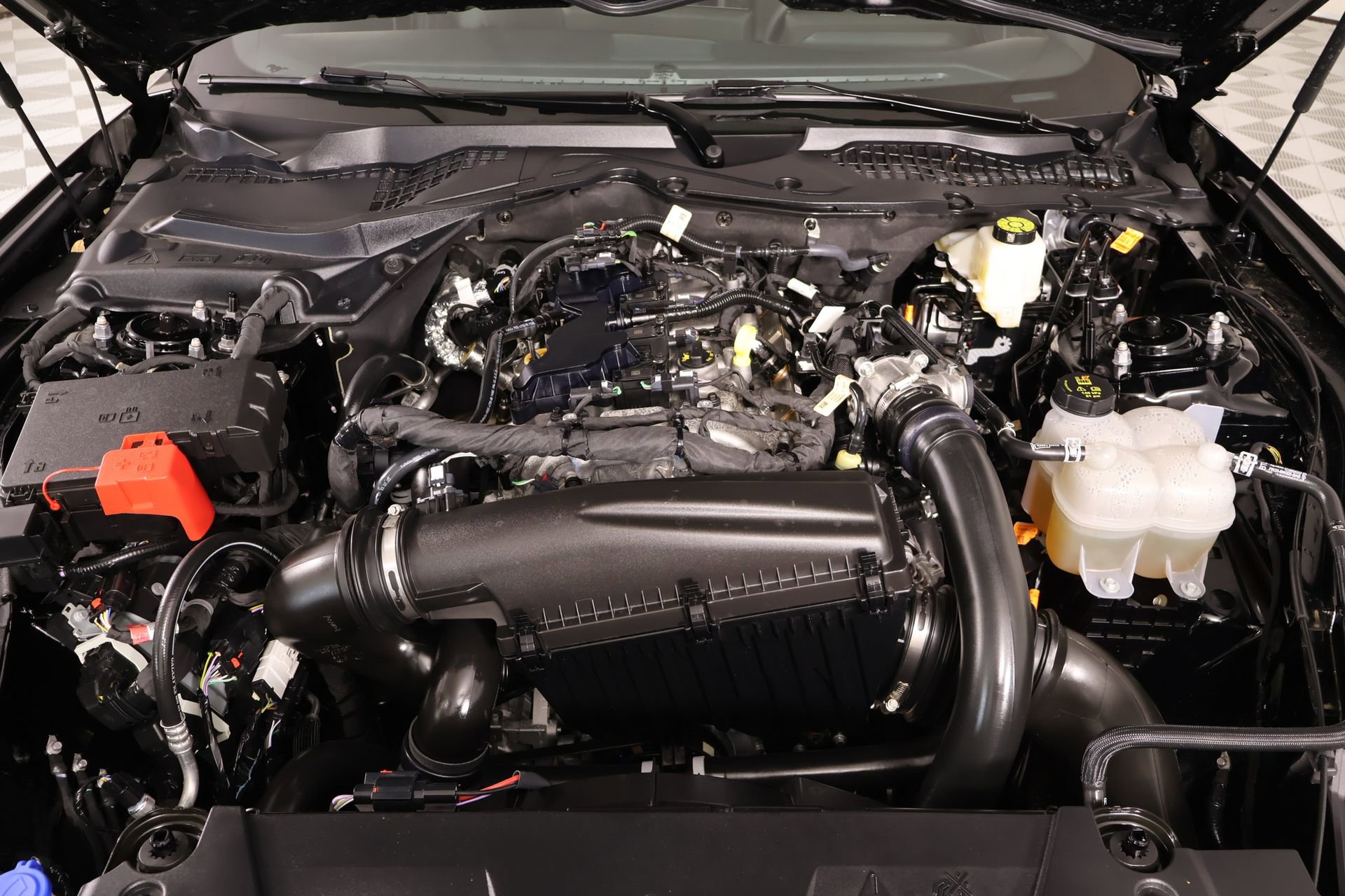 Used 2026 Ford Mustang Premium RWD image 18