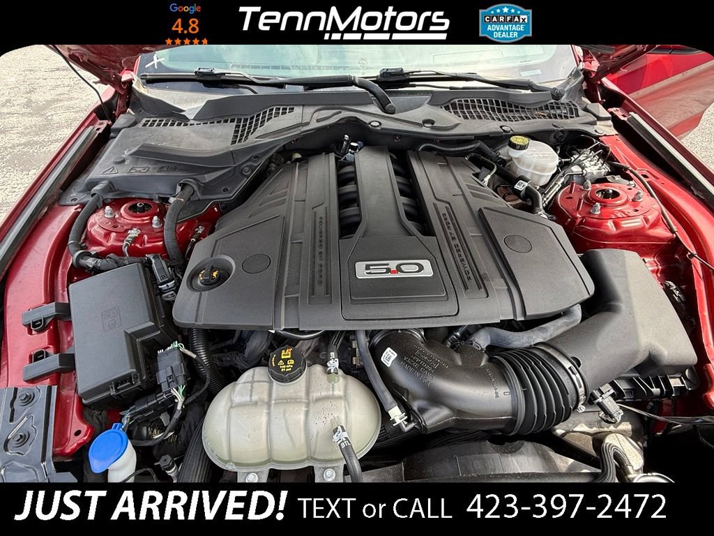 Used 2021 Ford Mustang GT Premium w/ Equipment Group 401A RWD image 14