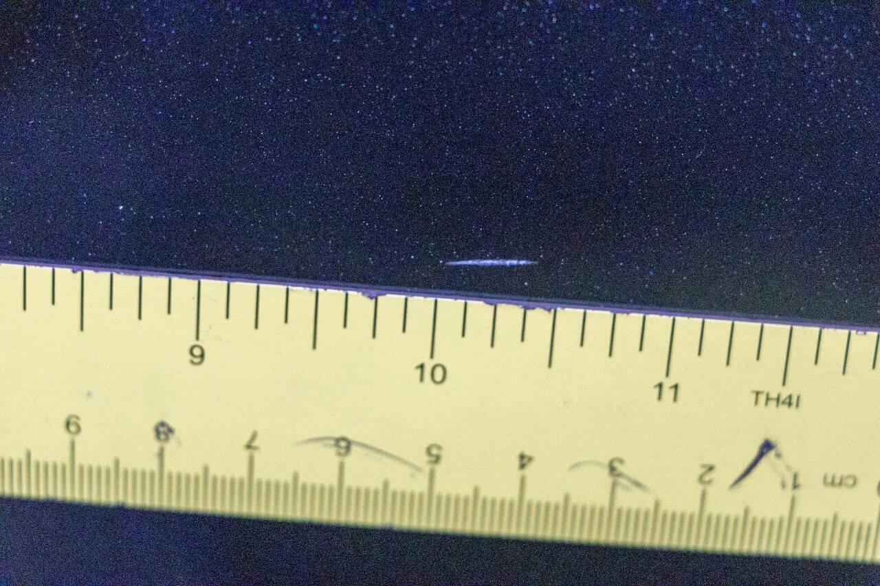 Used 2016 RAM 1500 Tradesman w/ Popular Equipment Group image 36