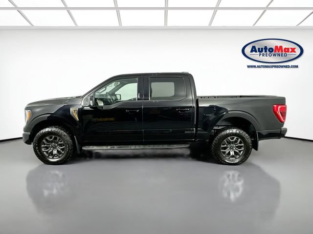 Used 2023 Ford F150 Tremor AWD/4WD image 9
