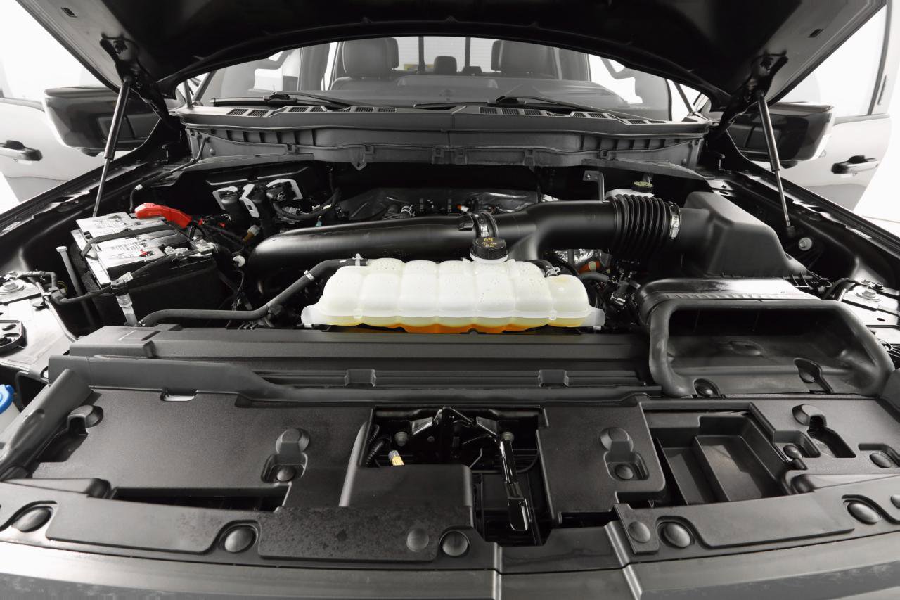 Used 2024 Ford F150 Tremor w/ Equipment Group 402A High image 41