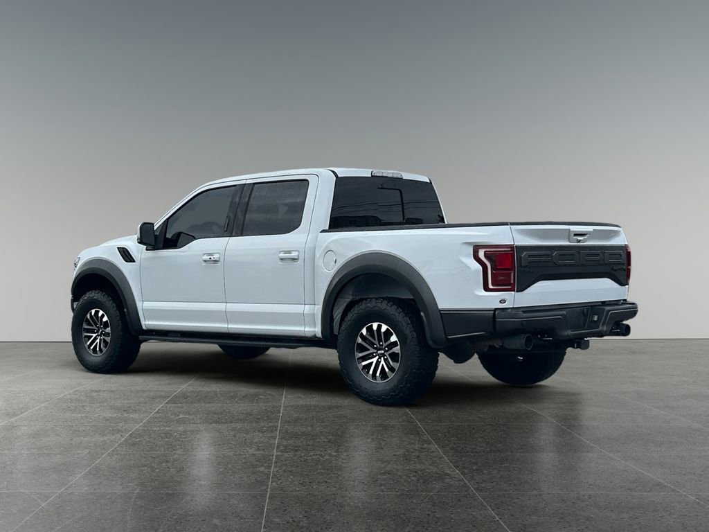 Used 2019 Ford F150 Raptor w/ Equipment Group 802A Luxury image 5
