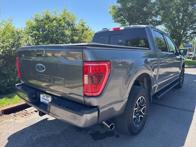 Used 2023 Ford F150 XLT w/ Equipment Group 302A High AWD/4WD image 8