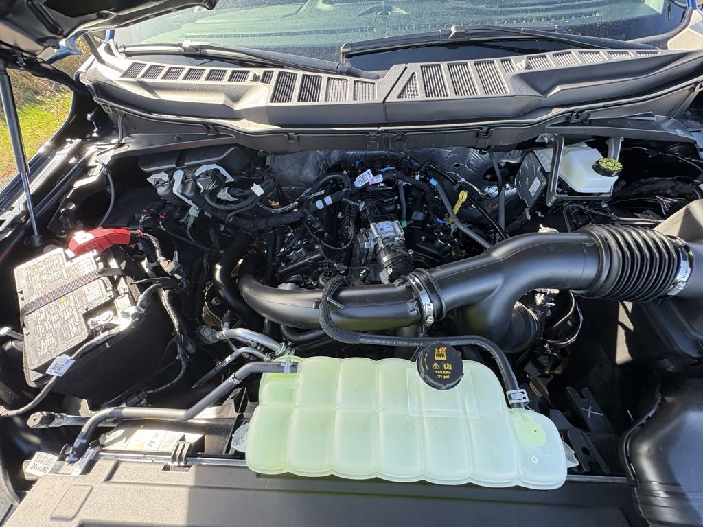New 2025 Ford F150 STX w/ Equipment Group 200A image 18