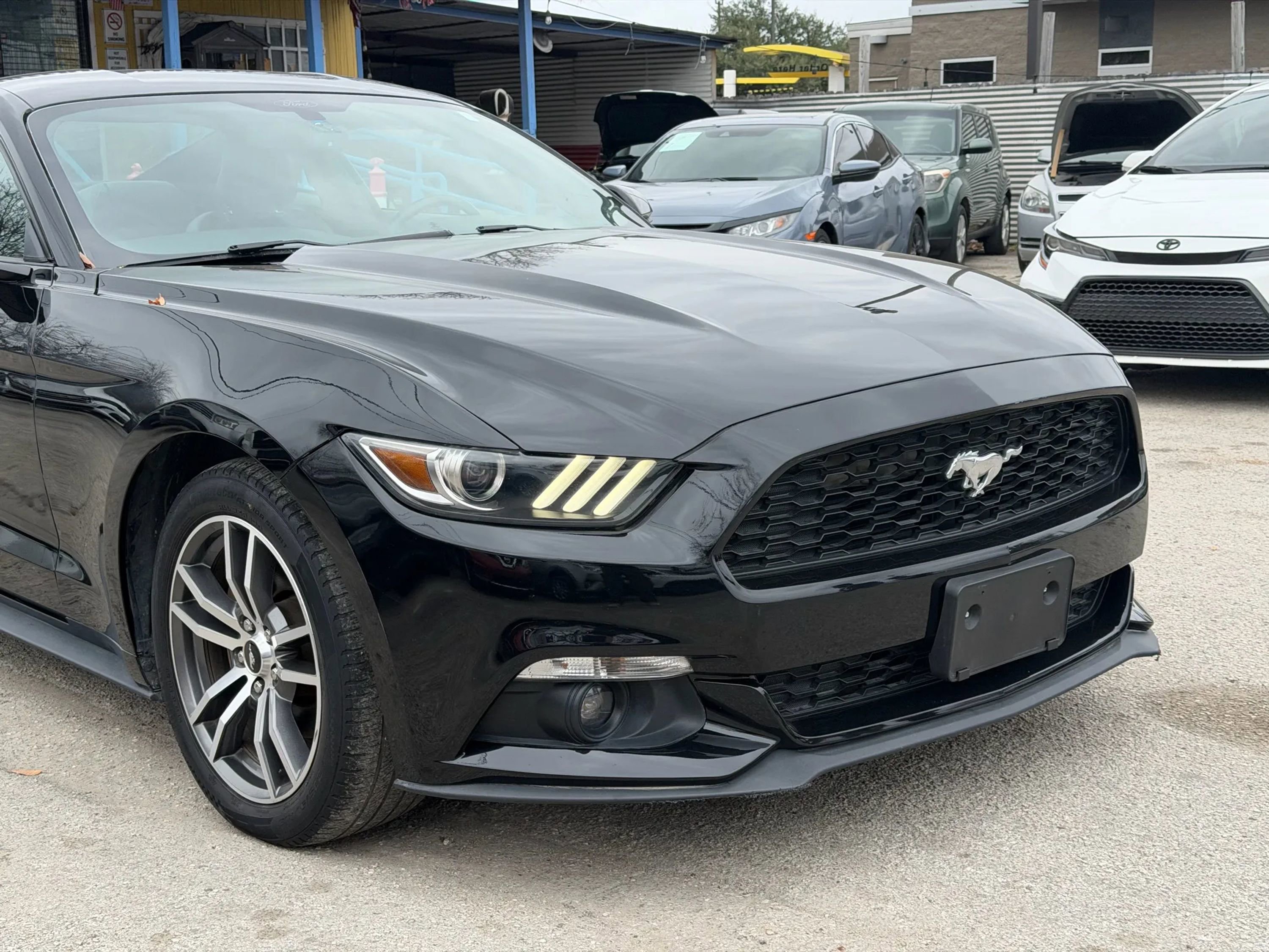 Used 2016 Ford Mustang Premium RWD image 4