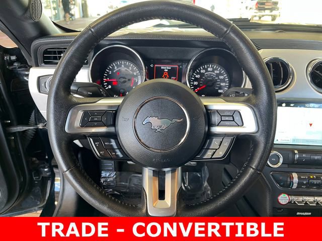 Used 2017 Ford Mustang Premium image 14