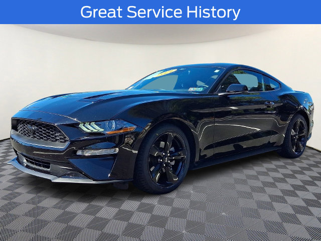 Certified 2021 Ford Mustang Premium w/ Equipment Group 201A RWD image 3