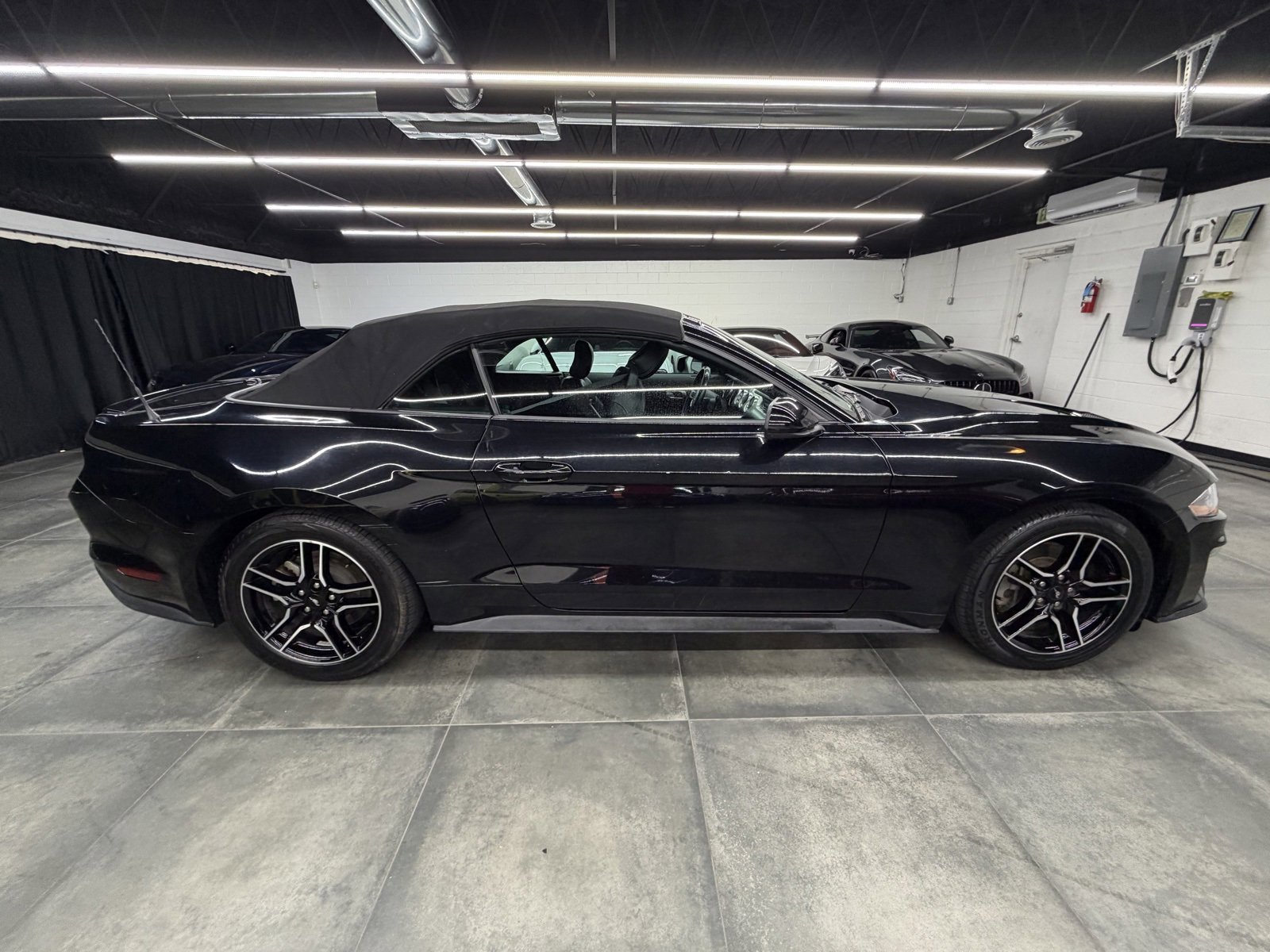 Used 2023 Ford Mustang Premium image 8