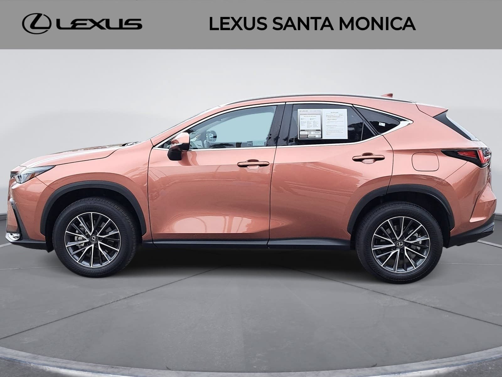 Used 2025 Lexus NX 350 AWD w/ Cold Area Package image 8