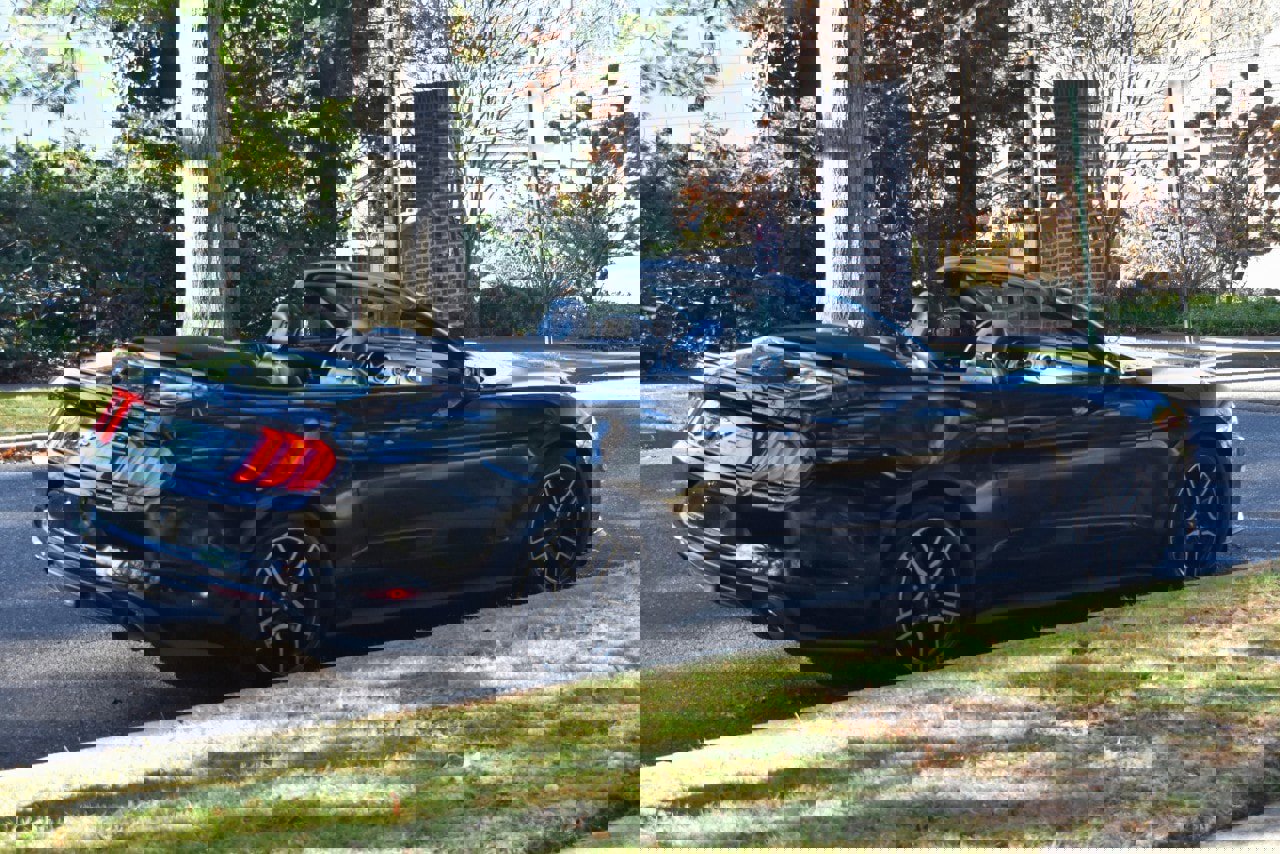 Used 2019 Ford Mustang Premium image 8