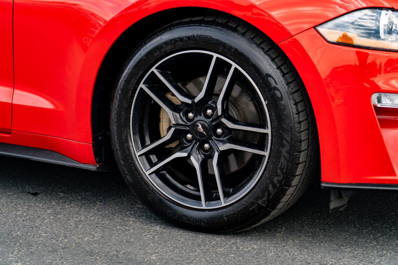 Used 2019 Ford Mustang Premium RWD image 5