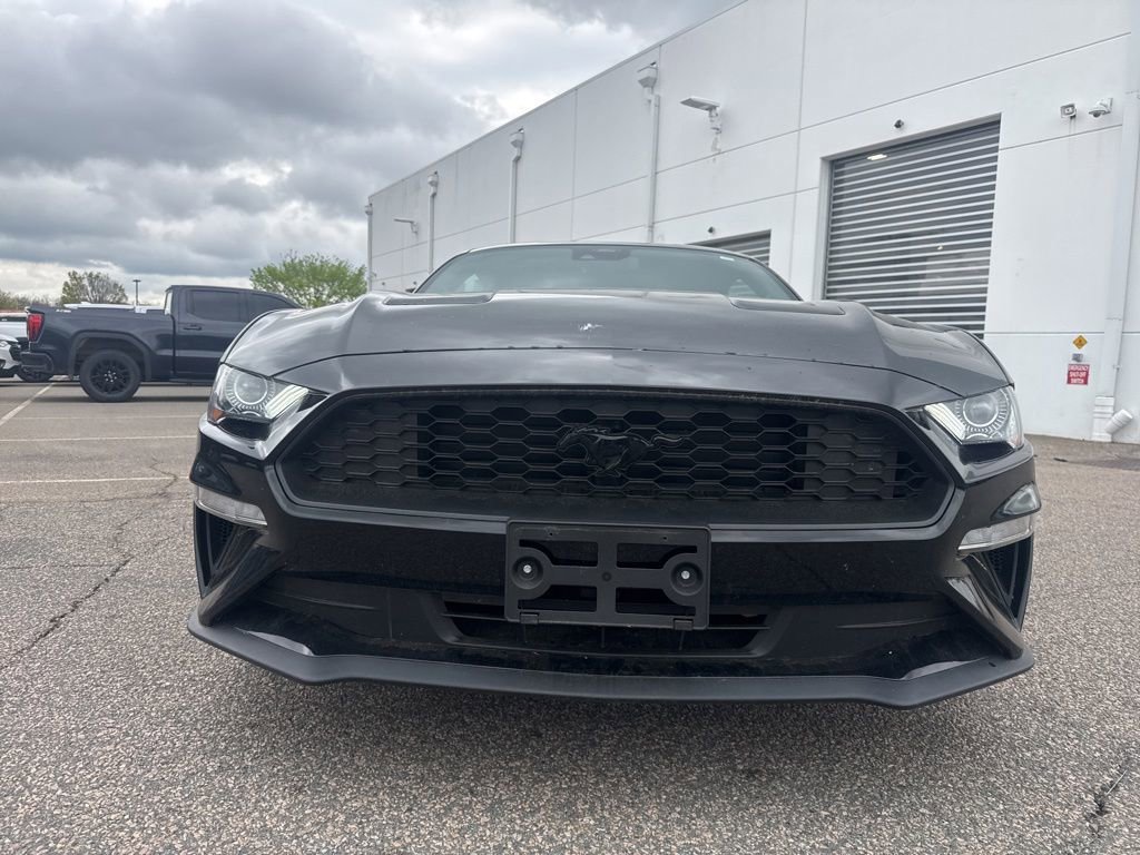 Used 2023 Ford Mustang Premium w/ Equipment Group 201A RWD image 4
